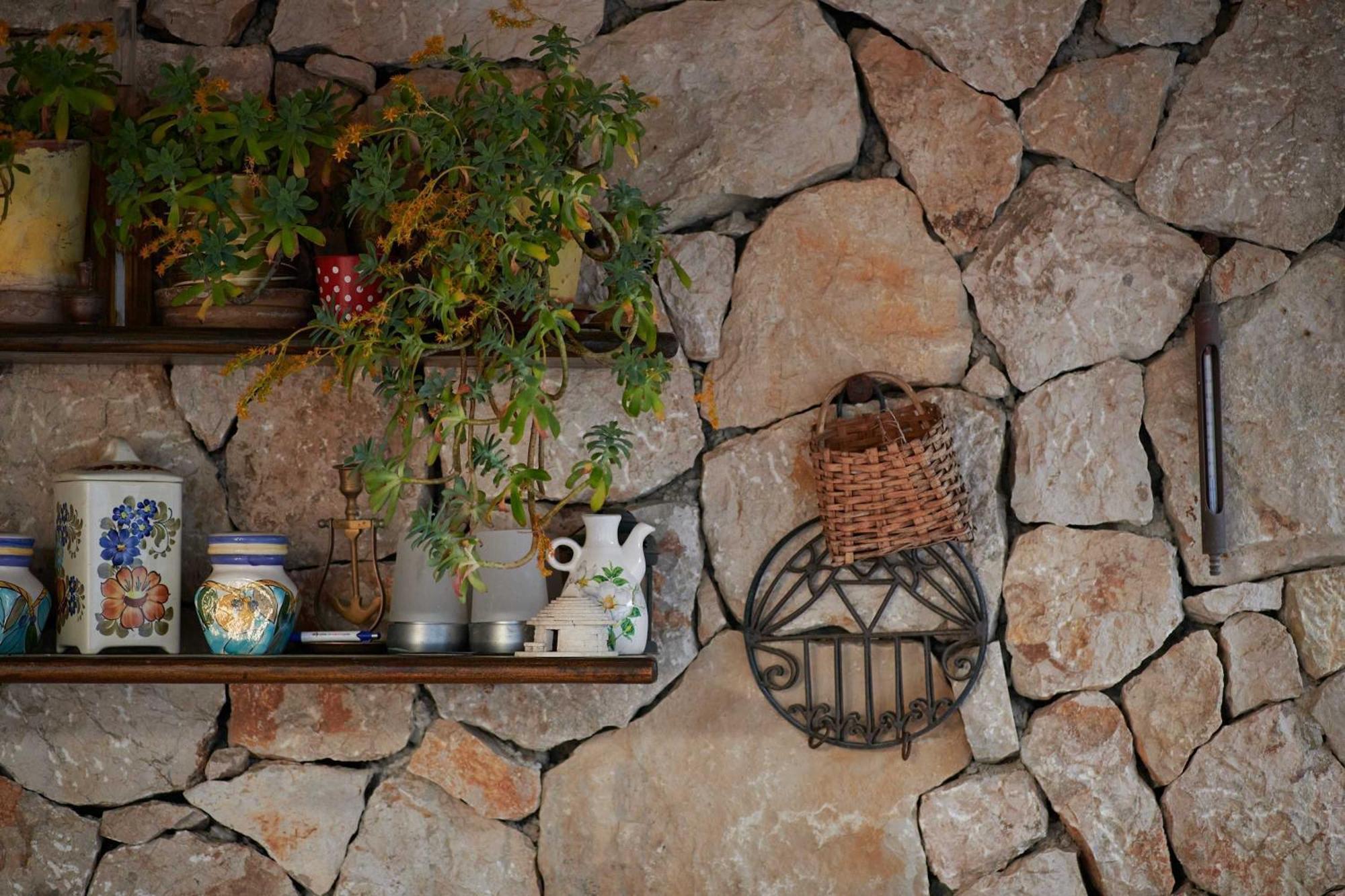 Micika Guest house